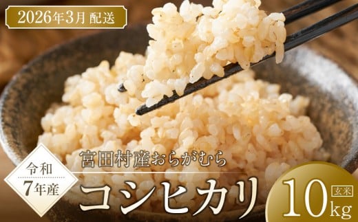 【予約受付】【令和７年米】長野県宮田村産コシヒカリ／玄米／10kg・23,000円／令和８年3月配送
