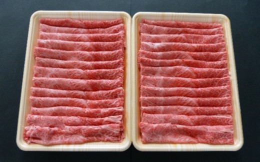 【１２ヶ月定期便】A5等級飛騨牛 赤身肉 すき焼き・しゃぶしゃぶ用 1kｇ モモ又はカタ肉 2025/9/19～
