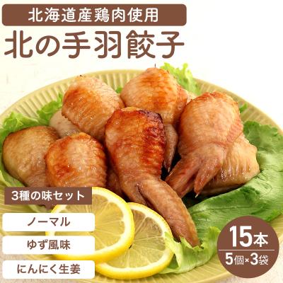 ふるさと納税 岩見沢市 北海道産鶏肉を使った手羽餃子15個セット(5個×3袋)≪配送地域限定≫