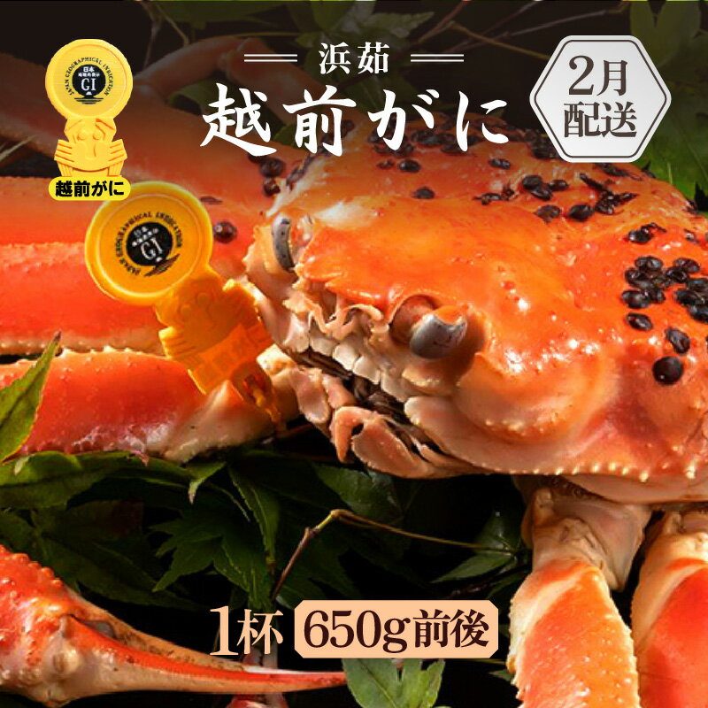 【ふるさと納税】≪浜茹で≫越前がに 1杯（生で1杯700g前後）大人約2人前 食べ応え充分【 雄 ズワイガニ かに カニ 蟹 越前ガニ 姿 ボイル 冷蔵 福井県】【2月発送分】希望日指定可 備考欄に希望日をご記入ください [e65-x003_02]