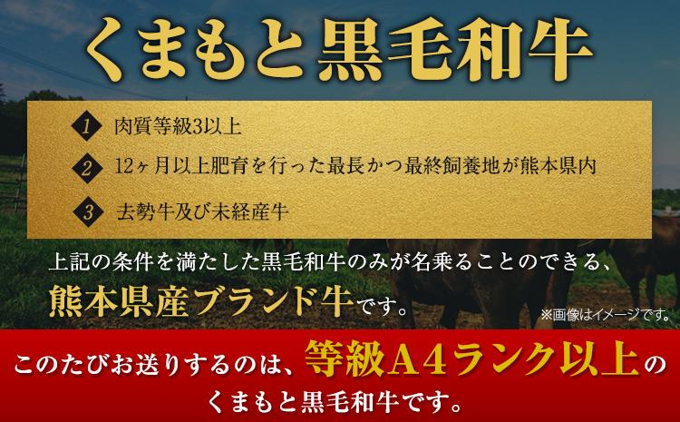 くまもと黒毛和牛 サーロインステーキ 500g (250g x 2枚) 牛肉 冷凍 《30日以内に出荷予定(土日祝除く)》 くまもと黒毛和牛 黒毛和牛 冷凍庫 個別 取分け 小分け 個包装 ステーキ肉