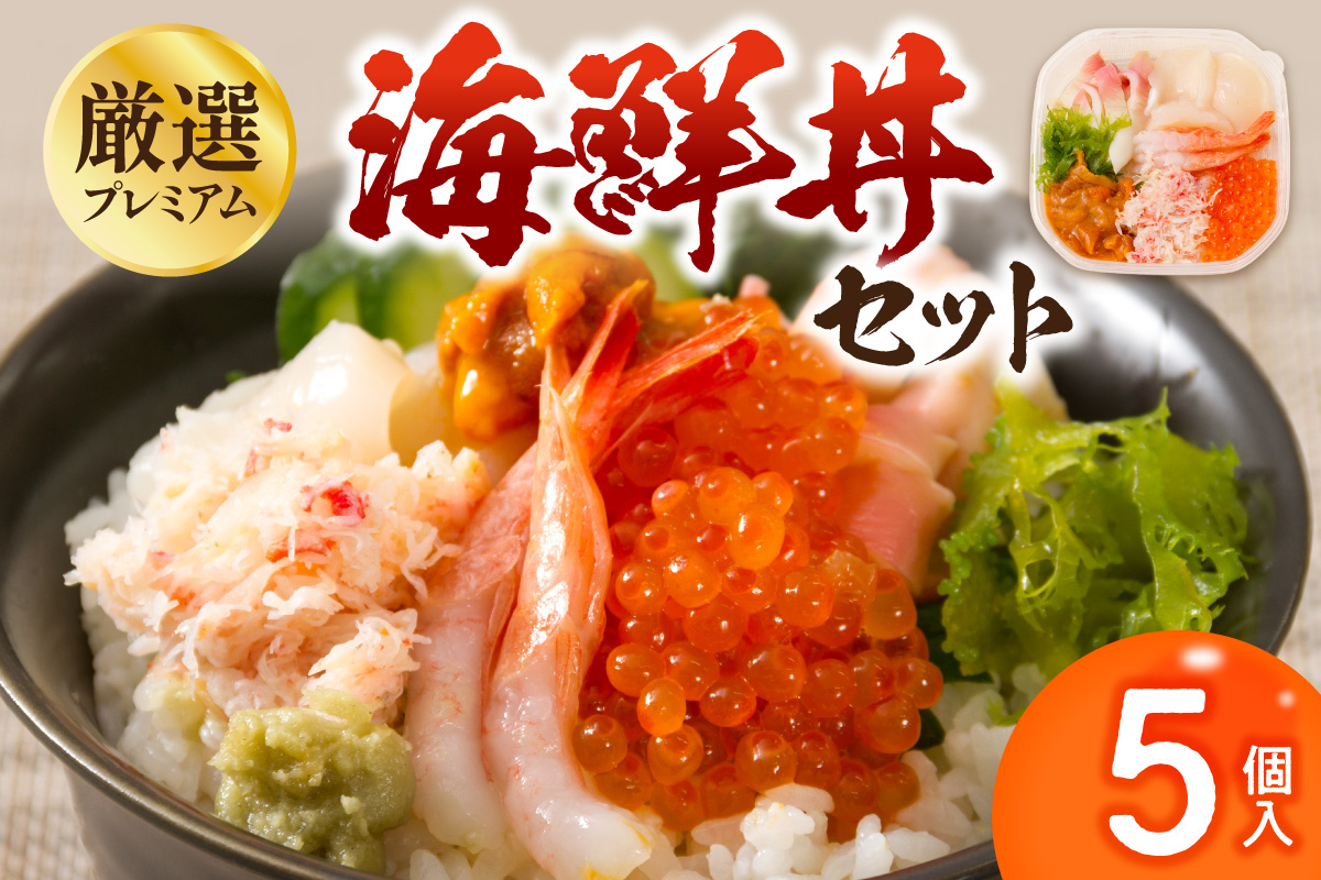 厳選！プレミアム海鮮丼セット 5個入 ( 海鮮丼 海鮮 イクラ ホタテ カニ ズワイガニ エビ 北海道 セット プレミアム 豪華 おつまみ 海の幸 )【094-0100】