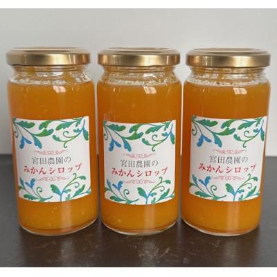 ふるさと納税 東海市 【宮田農園】みかんシロップ(ヨーグルトソース)3本入