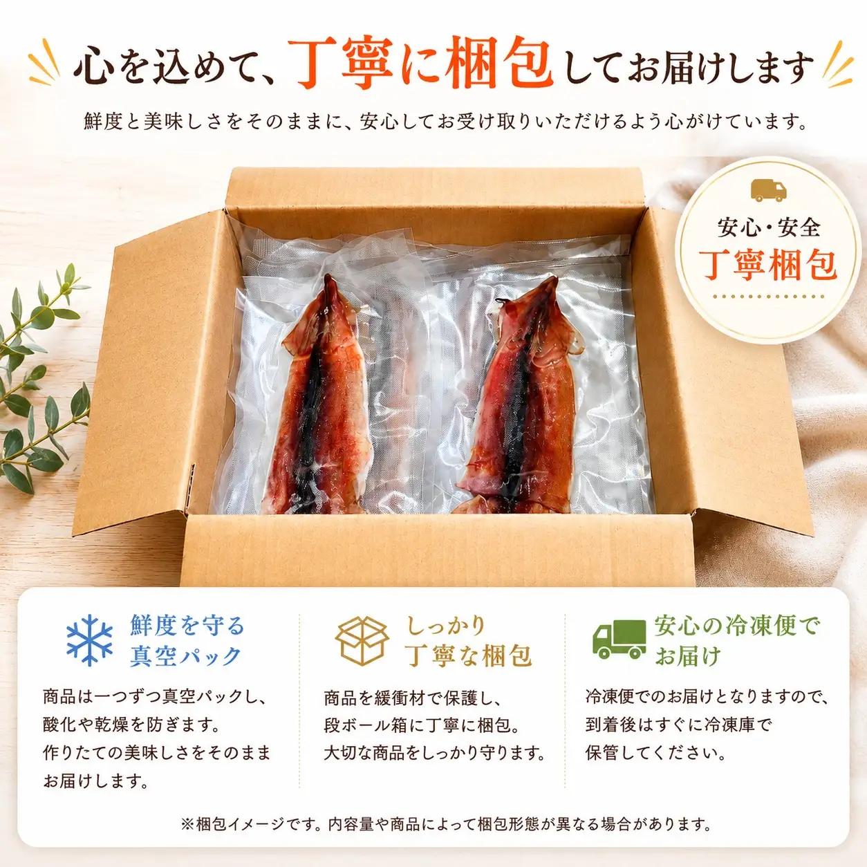 スルメイカ 干物 5個 （約500～700g） 干物 するめいか 干しイカ いか イカ 半日干し 生干し 5個 5枚 魚介類 海鮮 水産加工品 冷凍 真空パック 小分け 室戸海洋深層水 塩干し イカ焼