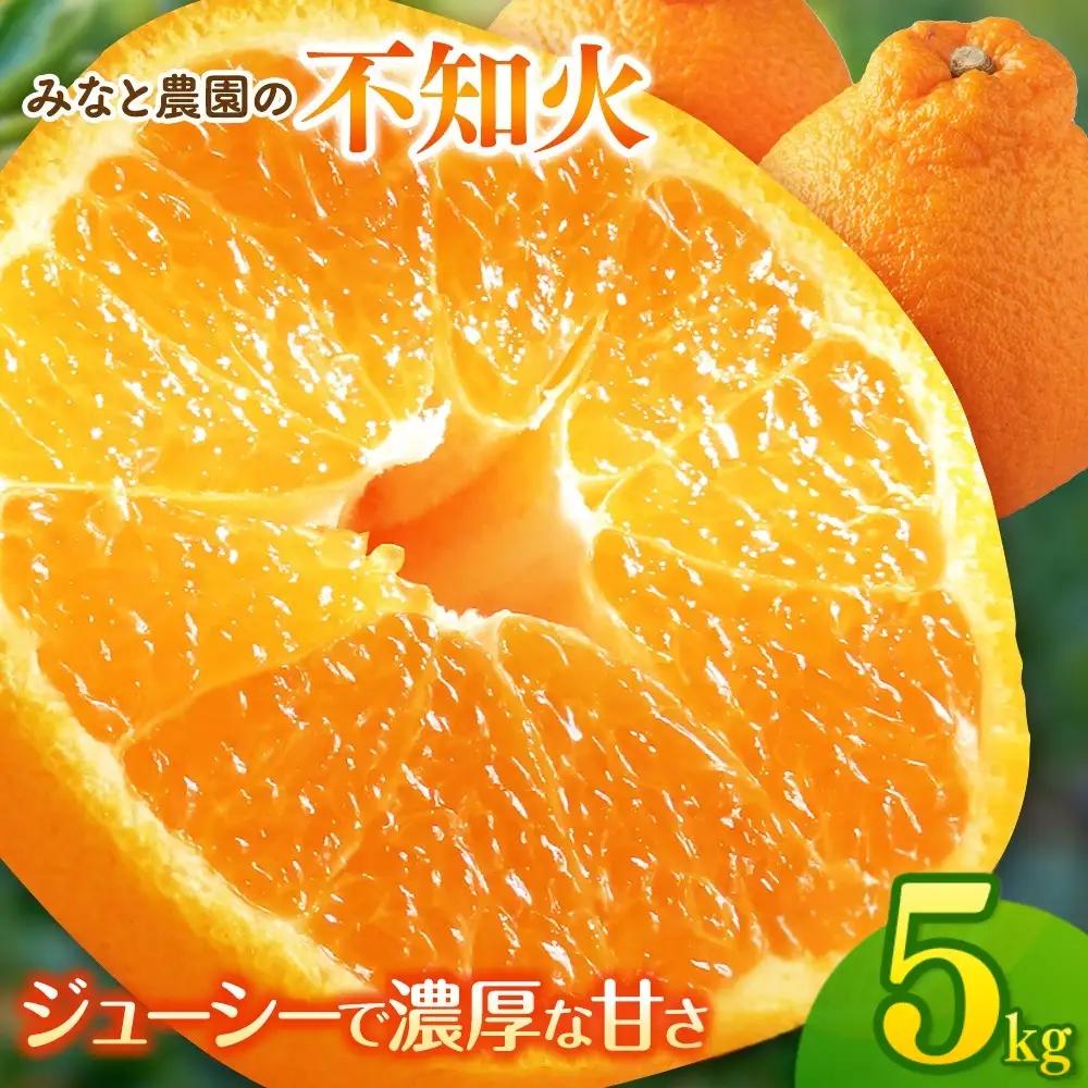 【先行予約】不知火 みなと農園の不知火 約5kg 【mntf0013】