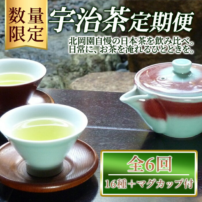 【ふるさと納税】＜数量限定＞＜定期便・全6回＞北岡園おすすめ茶セット(16種＋マグカップ付) 京都 宇治 お茶 茶葉 煎茶 玉露 ほうじ茶 雁金 かりがね 玄米茶 フィルターインマグ マグカップ 飲み比べ【uj-FO005】【北岡園】