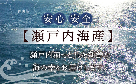 干しベイカ