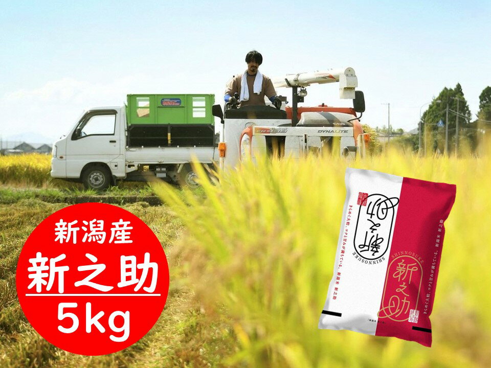 【ふるさと納税】【令和7年産新米】 新潟県阿賀野市産 新之助 5kg 精米 白米 生産者が食べたいと思えるお米