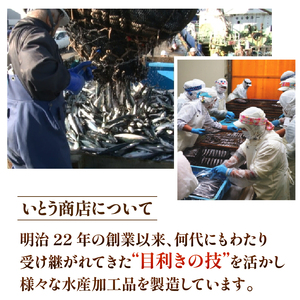 オイルサーディン 4尾  2パック 【 いわし 】