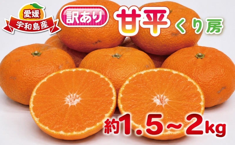 
                  訳あり 甘平 約 1.5～2kg くり房 かんぺい 訳アリ 高級柑橘 愛媛みかん 愛媛蜜柑 蜜柑 みかん mikan シャキシャキ ジューシー 濃厚 甘い 果物 くだもの フルーツ 柑橘 数量限定 産地直送 国産 愛媛 宇和島 B012-204007
                