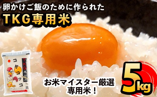 
            A-153 《令和7年産》日本初！卵かけご飯専用米!コケコッコ(TKG専用米)計5kg【山口米店】お米 精米 白米 米 お米 こめ コメ
          