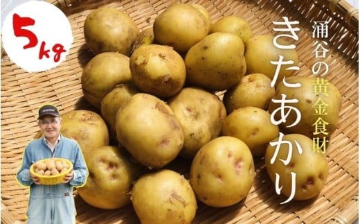 涌谷の黄金食財じゃがいも 「キタアカリ」5kg