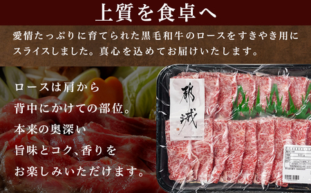 【年内お届け】【黒毛和牛】ロースすき焼き用500g≪2024年12月20日～31日お届け≫_AO-I901-HNY_(都城市) 国産黒毛和牛 ロースすき焼き 500g ロース肉 贈答用 しゃぶしゃぶ 