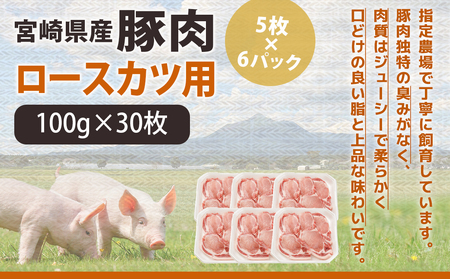 宮崎県産豚肉ロースカツ用30枚_18-M601_(都城市) 宮崎県産豚肉 ロースカツ用 100g×30枚 とんかつ トンテキ ポークステーキ
