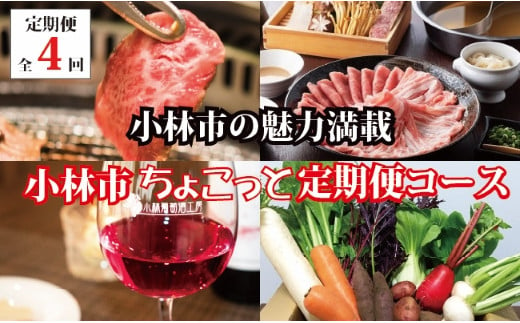 
【定期便・全4回】小林市ちょこっと定期便コース（国産 牛肉 国産牛 和牛 黒毛和牛 豚肉 ワイン 野菜 日用品 食材）
