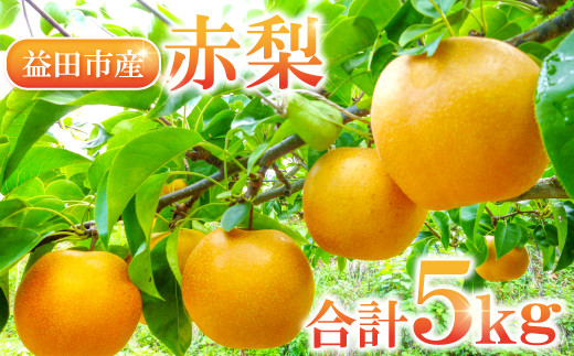 
                  A-934 赤梨 5㎏(幸水梨・豊水梨・新高梨・新興梨)
                