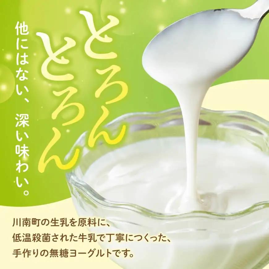 とろんとろんヨーグルト2個セット【 トロントロンヨーグルト トロントロン アリマン 乳製品 乳 加工品 牛乳 ヨーグルト 乳 】 