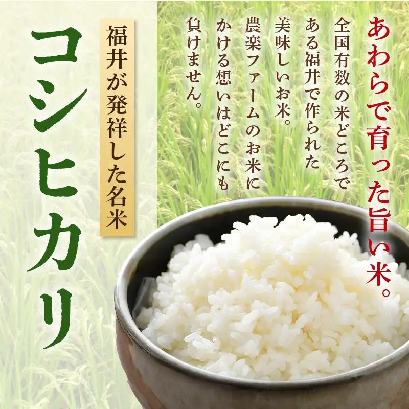 【先行予約】【令和8年産・新米】【一等米】《定期便6回》いっちょらい 無洗米 5kg × 6回（計30kg） ／ 福井県産 ブランド米 コシヒカリ ご飯 白米 新鮮 大賞 受賞 ※2026年10月上旬