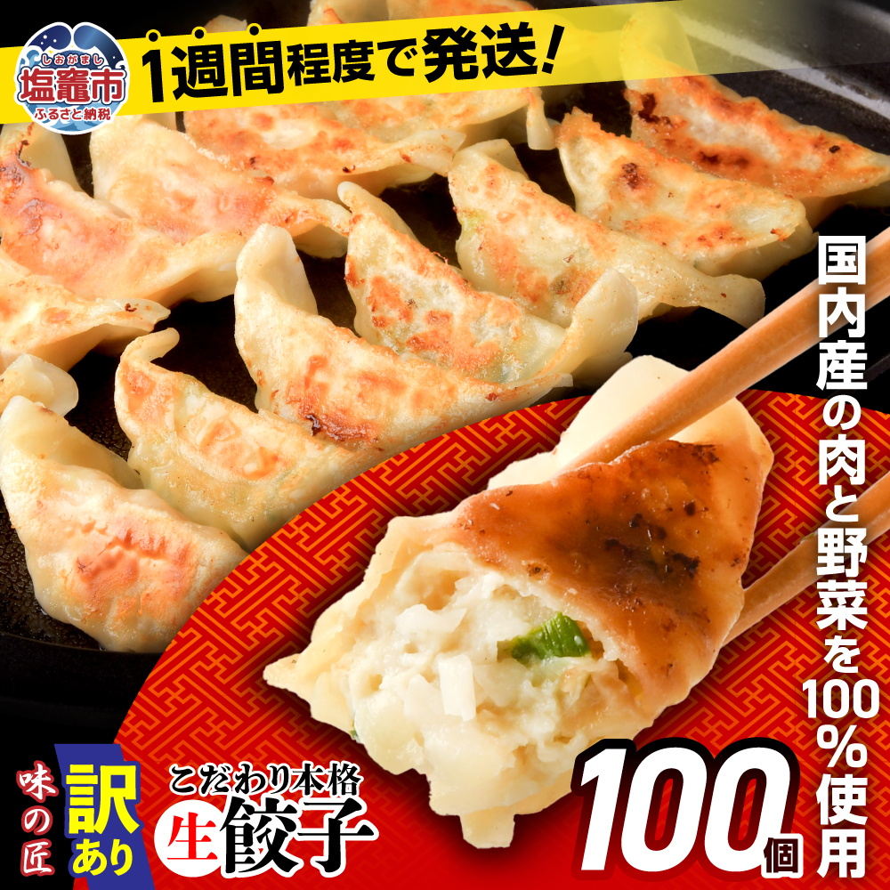 【訳あり品】こだわり本格生餃子100個(20人前)