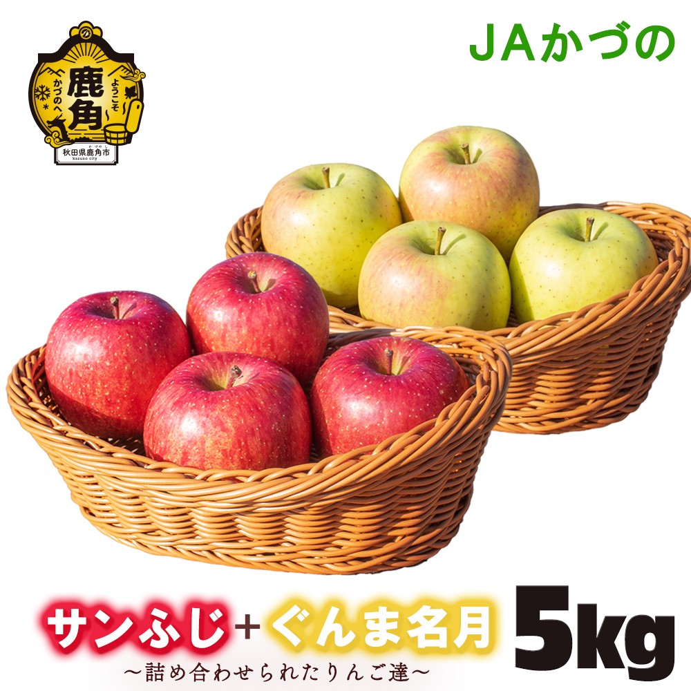 《先行予約》詰め合わせ サンふじ ＋ ぐんま名月 5kg【JAかづの】●2026年11月中旬頃発送開始 鹿角産 りんご 詰め合わせ セット サンふじ ぐんま名月 5kg 贈答用 林檎 リンゴ 完熟 旬 県産りんご お中元 お歳暮 贈り物 お見舞い ギフト 秋田県 秋田 あきた 鹿角市 鹿角 送料無料 かづの農業協同組合