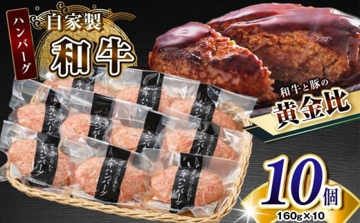 自家製和牛ハンバーグ（生・冷凍個別真空）10個セット  | 牛肉 牛 肉 にく 和牛 かずさ和牛 国産 ハンバーグ 新鮮 オススメ 千葉県 君津市 きみつ