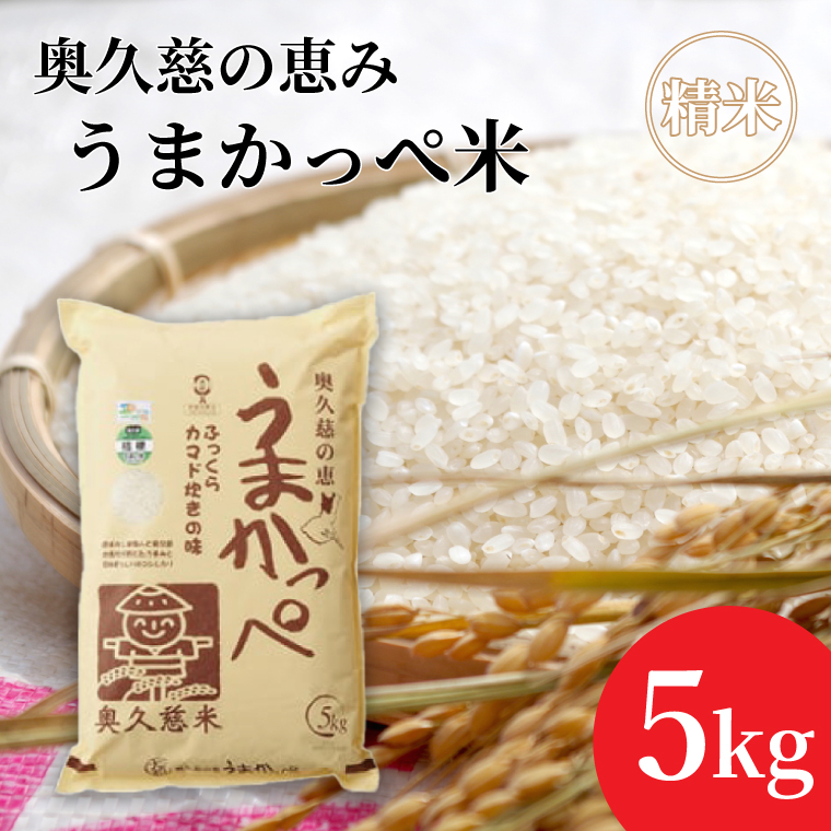 令和7年産【新米】奥久慈の恵みうまかっぺ米（コシヒカリ） 5kg｜茨城県 大子町 お米 白米 精米 ブランド米 銘柄米 食味値 ふっくら もちもち（AH002-2）