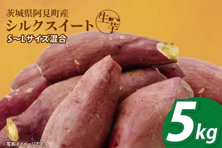 
            【12月下旬より順次発送】さつまいも シルクスイート5kg【甘藷 甘い さつま芋 サツマイモ 薩摩芋 茨城県産 茨城県 阿見町】(90-03)
          