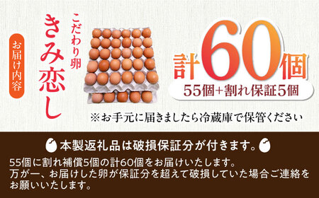 きみ恋し 60個（55個+割れ保証5個） 箱入り たまご 鶏卵 オムレツ 新鮮 冷蔵 広川町 / 伊藤養鶏場[AFAJ004]