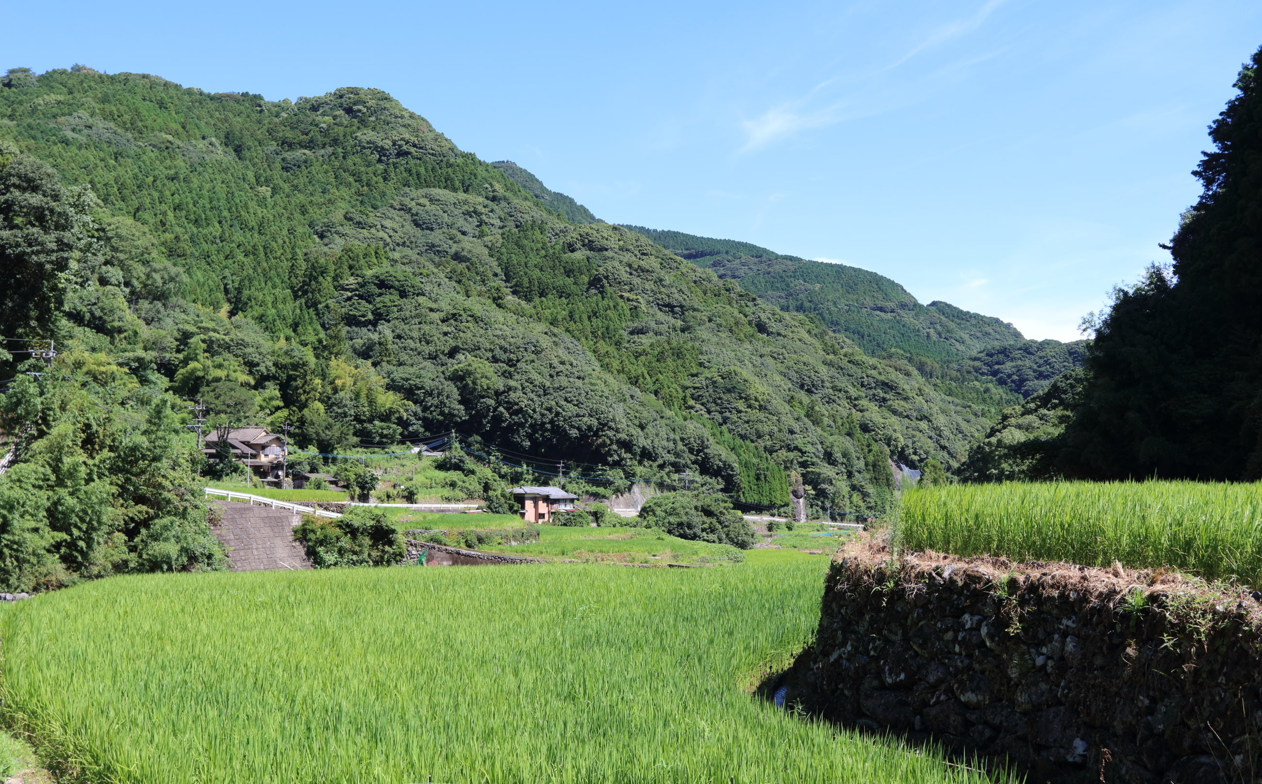 夏の能古見早ノ瀬集落。