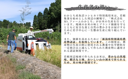 r05-10-3W 令和5年産 わかとち産魚沼コシヒカリ特別栽培棚田米 5kg  白米 魚沼 米