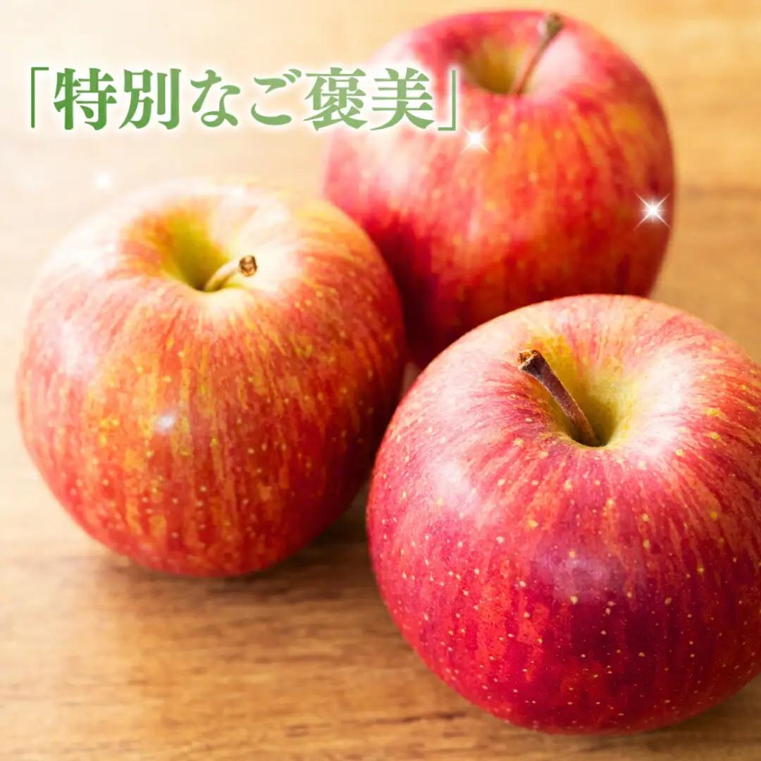 【2026年先行予約】りんご サンふじ 約5kg 中島農園|りんご
