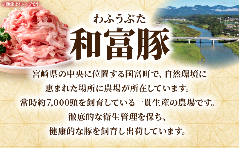 和富豚 そがらしセット 2.9kg