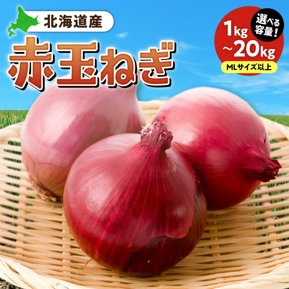 【ふるさと納税】 北海道産 赤玉ねぎ 【 選べる 容量 】 MLサイズ 1kg 2kg 5kg 10kg 20kg 野菜 玉葱 オニオン たまねぎ 国産 お取り寄せ 北海道 札幌市