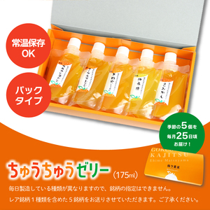 ちゅうちゅうゼリー 定期便 5個×12回 ( ゼリー 定期便 柑橘 ゼリー 定期便 みかん ゼリー 定期便 ちゅうちゅう ゼリー 定期便 果汁 ゼリー 常温 ゼリー プラスチック容器 ゼリー おすすめ