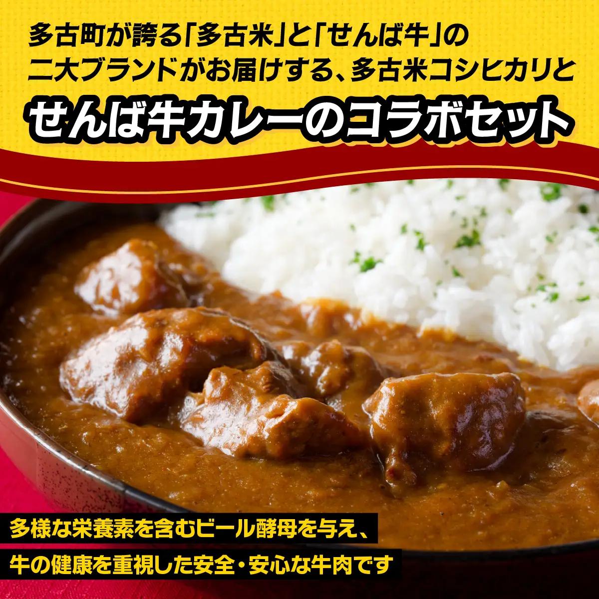 ご飯にはやっぱりカレー!「多古米コシヒカリ2kg」と「せんば牛カレー200g×5」セット_ 精米 米    コシヒカリ 米 こしひかり  惣菜・加工品 カレー  _【配送不可地域：離島・沖縄県】TAK