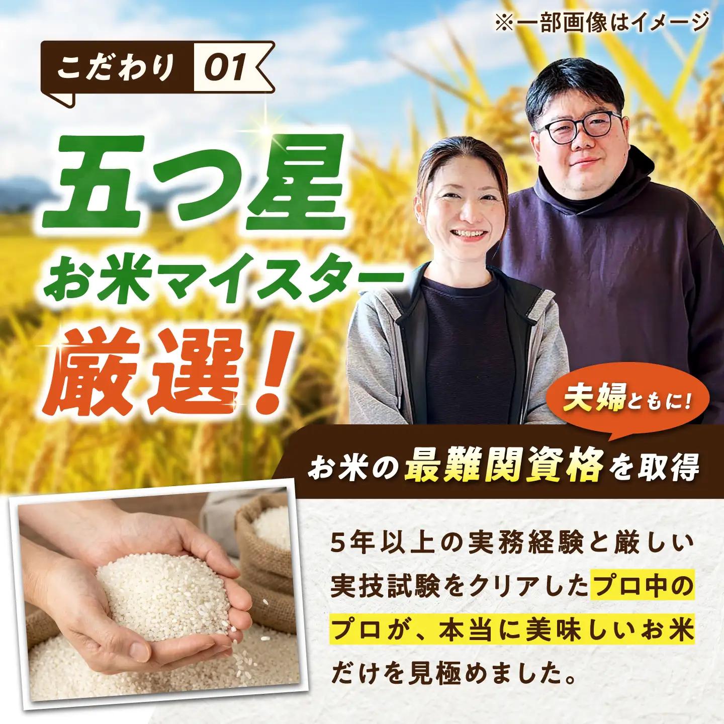 【12回定期便】 無洗米 毎月 5kg （さがびより・夢しずく交互お届け） 無洗米 お米 白米 精米 佐賀県産 米 /大塚米穀店[UFE022]