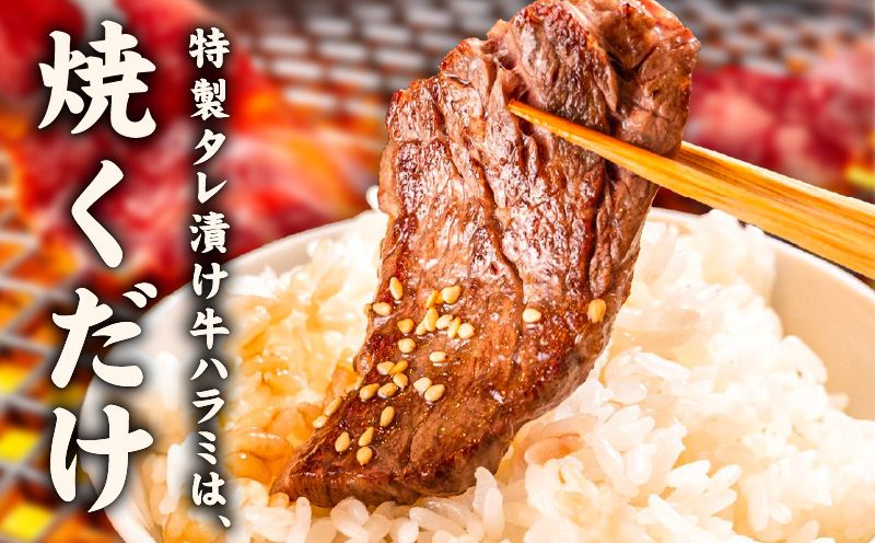 【氷温熟成×特製ダレ】牛ヒレ 1kg＋牛ハラミ 600g 合計1.6kg【スピード発送 味付き 訳あり サイズ不揃い 小分け】 mrz0425