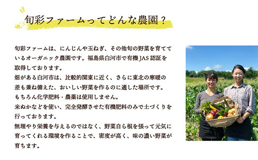 都内マルシェで人気のお野菜！ 《先行予約》春夏 旬の野菜セットSサイズ(6品前後)  野菜 セット 詰め合わせ 詰合せ 食品 F21R-213