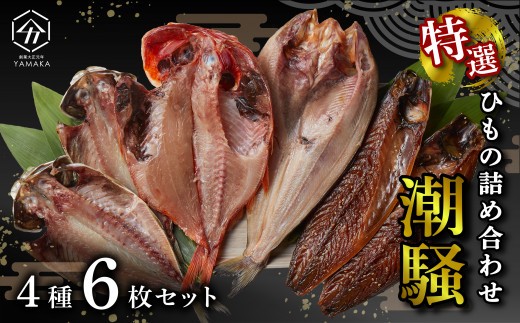 
                  干物 特選セット 4種 6枚 潮騒 グルメ 金目鯛 キンメ あじ 真ほっけ さば 醤油 醤油干し 鰯 鯖 サバ アジ ホッケ 干物セット 母の日 父の日 沼津 静岡 静岡県
                
