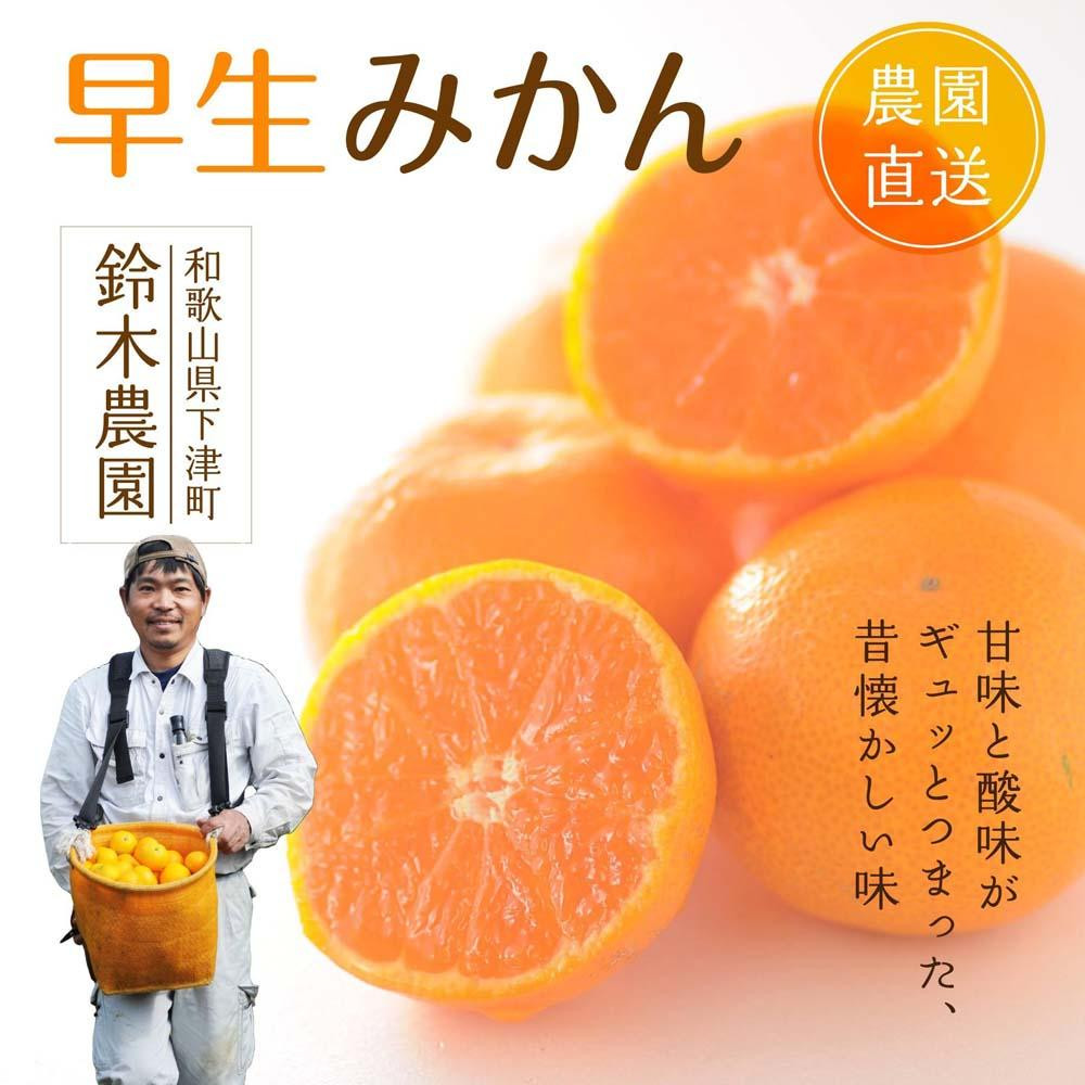 
【2024年11月中旬より順次発送】厳選・早生みかん(温州みかん5kg SMLいずれかのサイズ）【フルーツ先行予約】（柑橘 みかん ミカン mikan 蜜柑 12月 和歌山県鈴木みかん農園より農園直送）※北海道・沖縄・離島への配送不可
