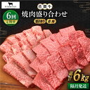 【ふるさと納税】【全6回定期便】【隔月発送】佐賀牛 焼肉セット 1.0kg（霜降り・赤身 各500g）【田中畜産牛肉店】 [HBH123]