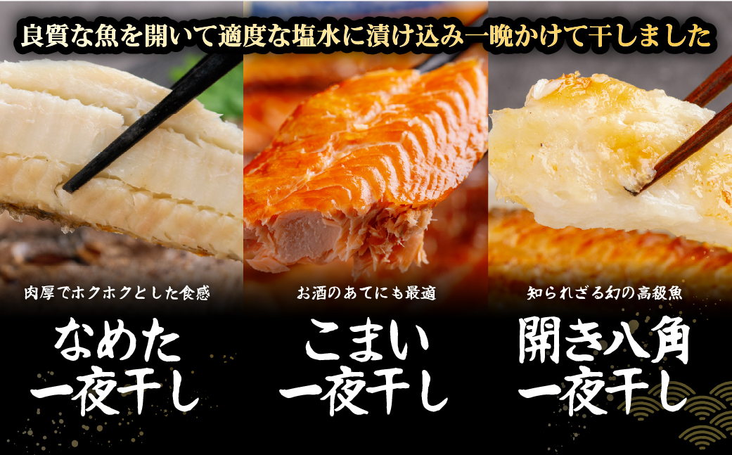 網走加工の一夜干しセット 5種B ABB173