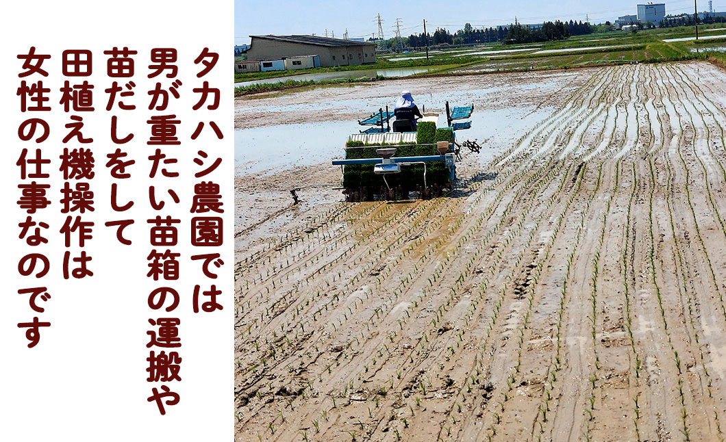 ＜令和8年産予約受付＞【12ヶ月定期便】銀河のしずく厳選プレミアム（減農薬・減化学肥料）5kg 【2017】