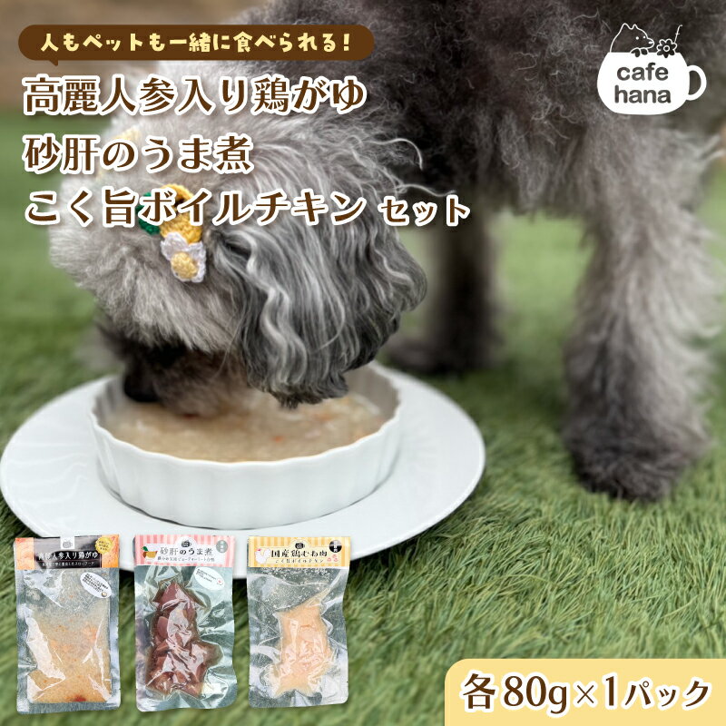 【ふるさと納税】ペットフード 3種類 セット （ 高麗人参入り鶏がゆ 砂肝のうま煮 こく旨ボイルチキン） 犬 猫 ドッグフード キャットフード 安心 安全 ペット フード ペット用品 いぬ ねこ 犬用 猫用