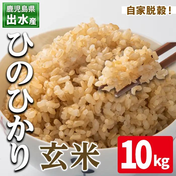 玄米 ひのひかり 10kg 鹿児島県 出水市産 【田上商店】i503
