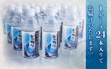 定期便 6回 お届け 世界遺産 飛騨 白川郷の水 500ml 24本 ペットボトル水 防災 アウトドア 料理 食品 ウォーター 水 軟水 岐阜 白川村 60000円 [S796]