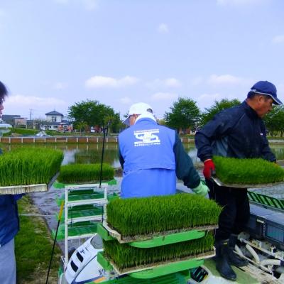ふるさと納税 三条市 [定期便 5kg×3ヶ月] 県認証 特別栽培米 コシヒカリ 令和8年産 無洗米【031S022】 |  | 01