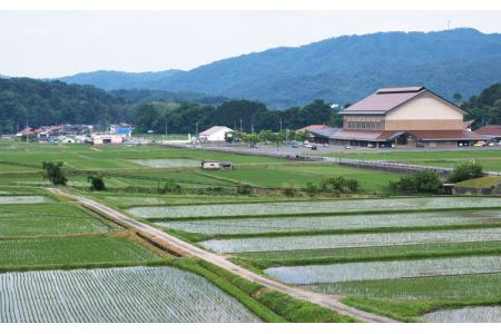 令和7年産【定期便3回】邑南町産きぬむすめ10kg