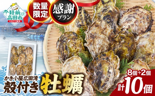 【2027年1月後半発送】【感謝プラン】 かき小屋広田湾の殻付き牡蠣8個+2個 計10個 【 生食用 生食可 牡蠣 かき 殻付き 海鮮 魚介 魚介類 BBQ バーベキュー 国産 三陸産 】 RT3260