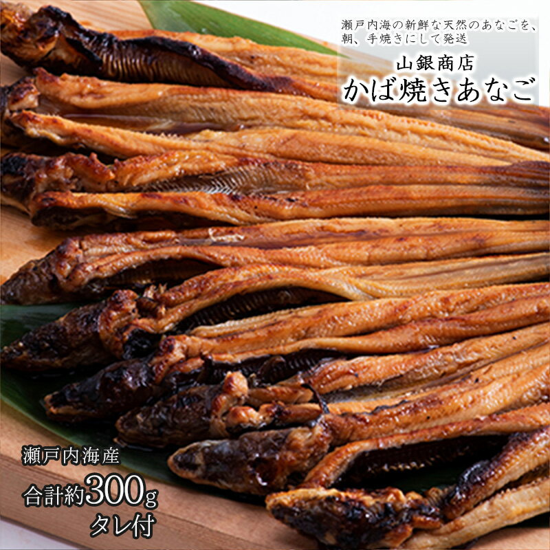 【ふるさと納税】あなご 先行予約 山銀商店 かば焼き あなご (合計約300g) 産地直送 穴子 魚介類 アナゴ 　お届け：2026年5月下旬〜2026年12月28日頃